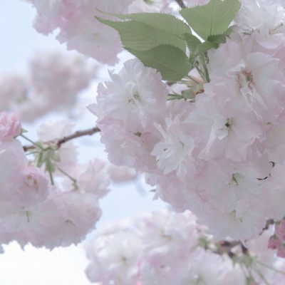 Furry兽圈美学分享福瑞交流群